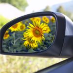Through the side mirror